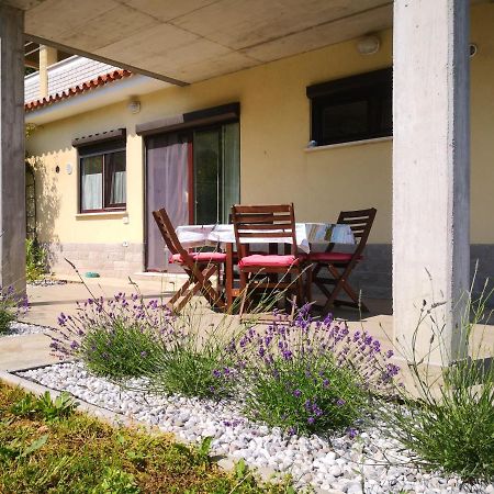 Solmar, Apartment With Big Terrace Near Nature بورتوروز المظهر الخارجي الصورة